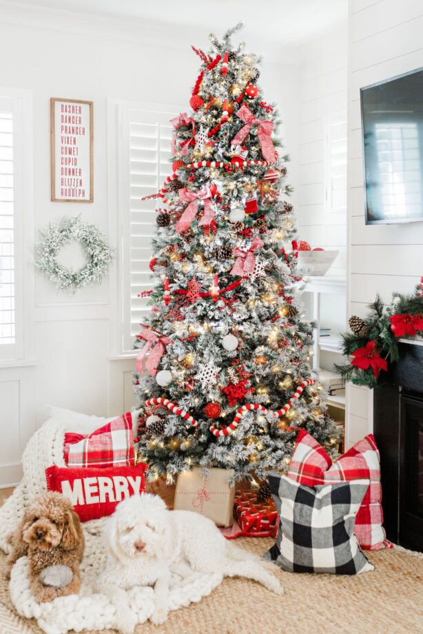 Cozy & Affordable Christmas Home Decor