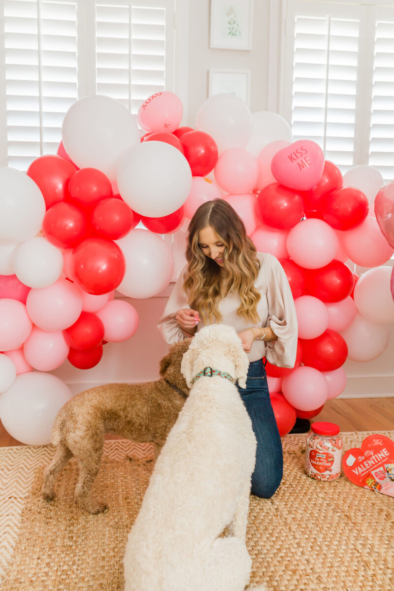 7 Ways To Spoil Your Dog This Valentine’s Day