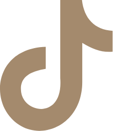 tiktok icon